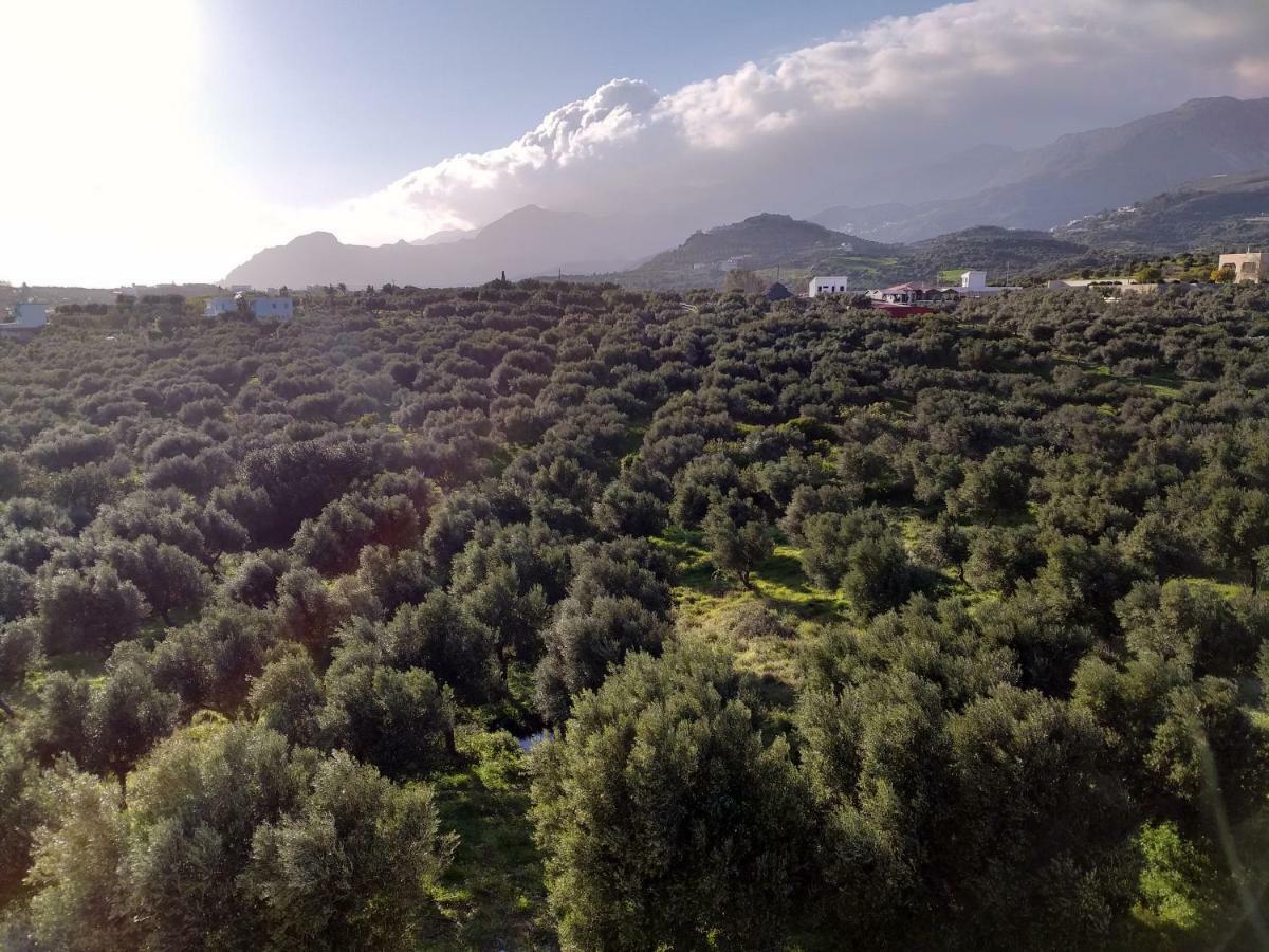 Greek Blue Apartment Plakias Esterno foto