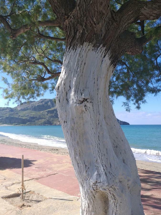Greek Blue Apartment Plakias Esterno foto